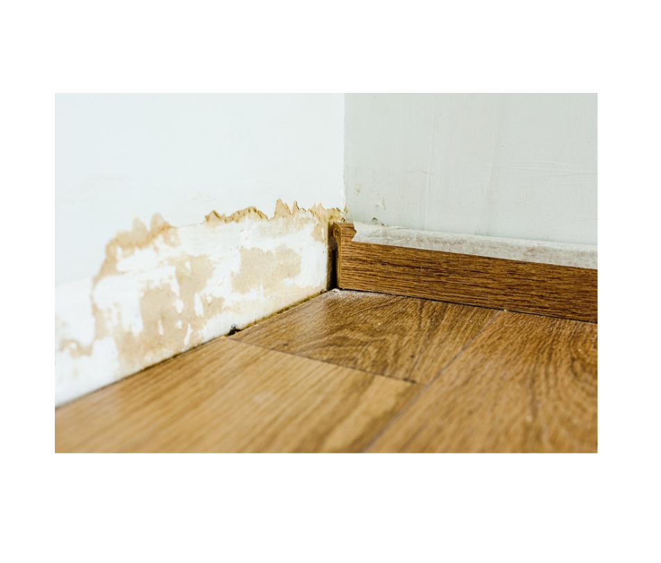 Water Damage Restoration on Long Island